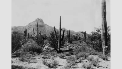 Desert Landscape
